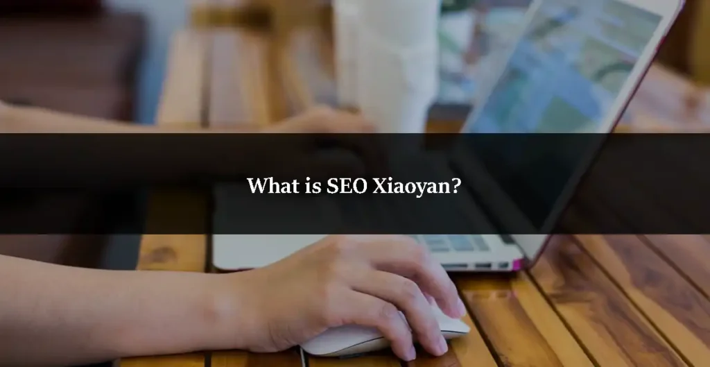 What is SEO Xiaoyan